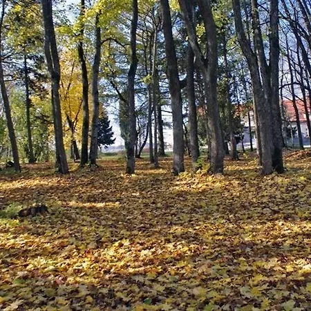 Mazurski Dwor 奥乐科欧